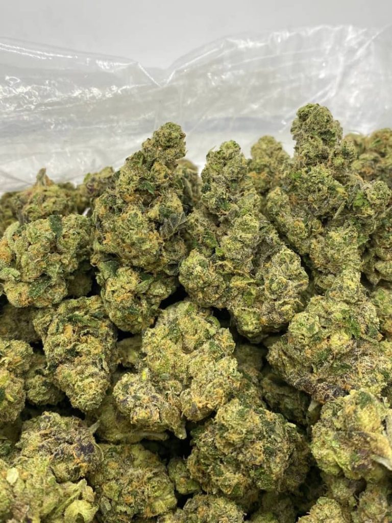 Apple Fritter Strain