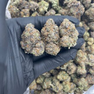 blue cookies